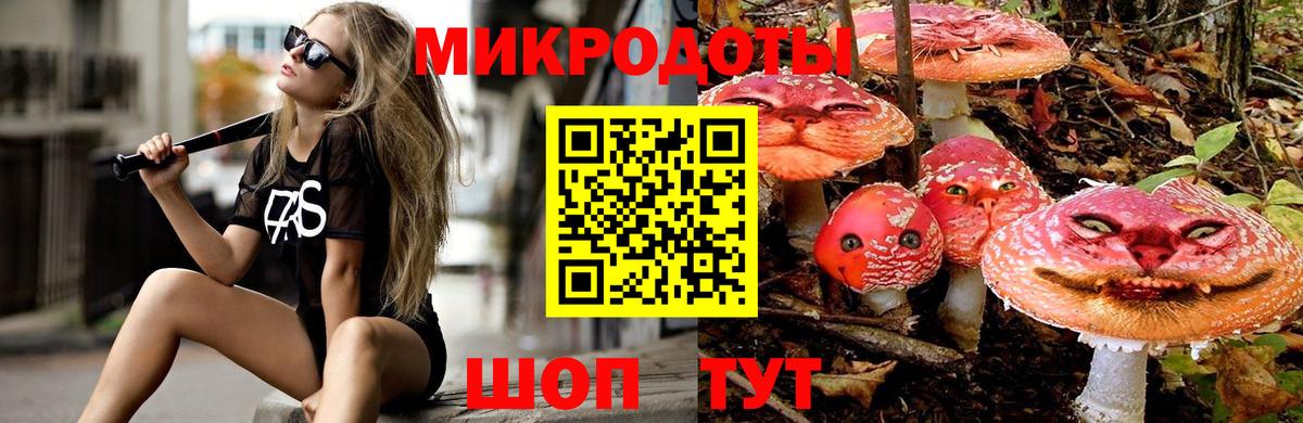 Псилоцибиновые грибы Psilocybe  Вход с VPN  Электросталь  Галлюциногенные грибы GOLDEN TEACHER 